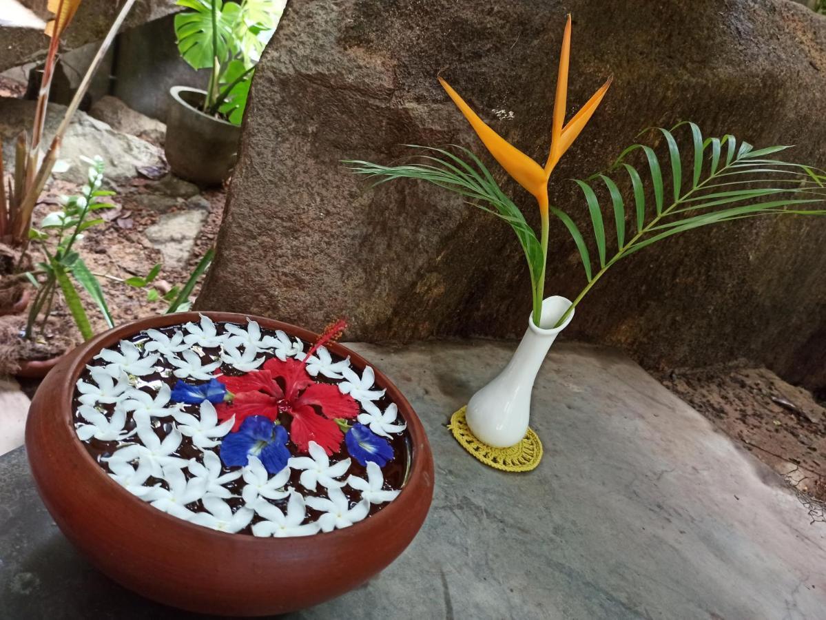 Bed and Breakfast Butterfly Jewel Unawatuna Zewnętrze zdjęcie